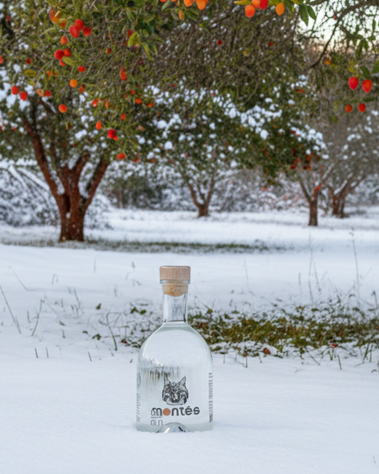 Gin Montês