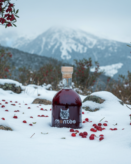 Gin Montês Sloe